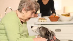 An elderly lady with her dog at home